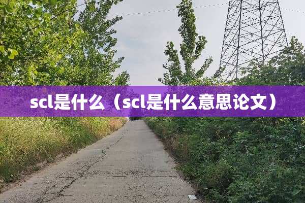 scl是什么（scl是什么意思论文）