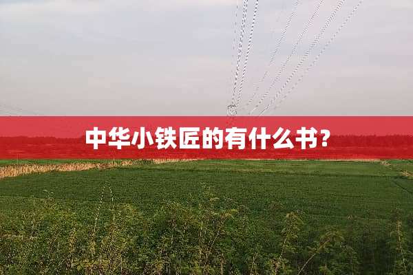 中华小铁匠的有什么书？