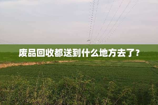 废品回收都送到什么地方去了？