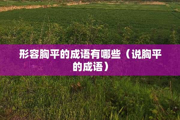 形容胸平的成语有哪些（说胸平的成语）