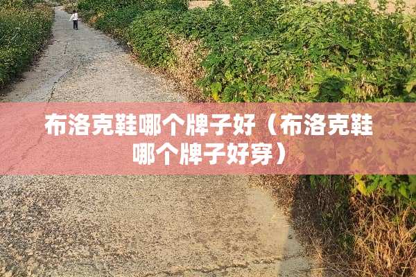 布洛克鞋哪个牌子好（布洛克鞋哪个牌子好穿）
