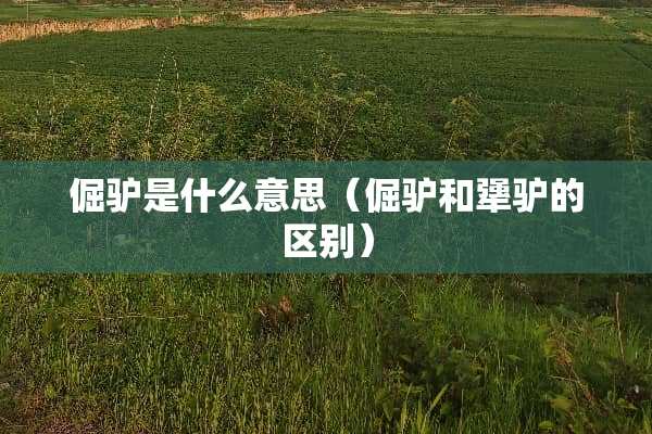 倔驴是什么意思（倔驴和犟驴的区别）