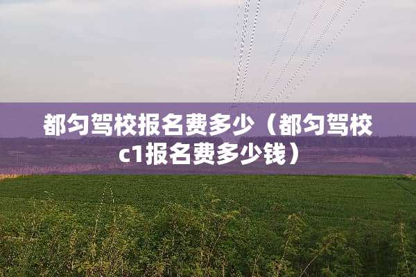 都匀驾校报名费多少（都匀驾校c1报名费多少钱）