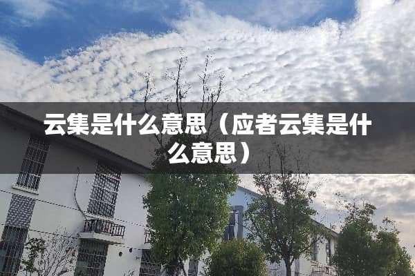 云集是什么意思（应者云集是什么意思）