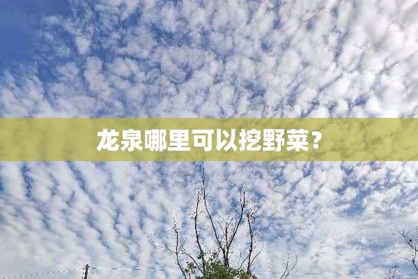 龙泉哪里可以挖野菜？