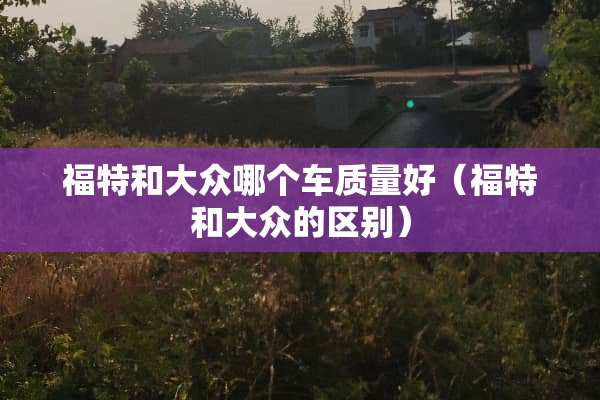 福特和大众哪个车质量好（福特和大众的区别）