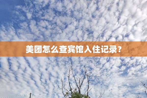 美团怎么查宾馆入住记录？