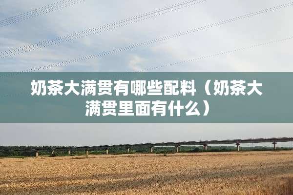奶茶大满贯有哪些配料（奶茶大满贯里面有什么）