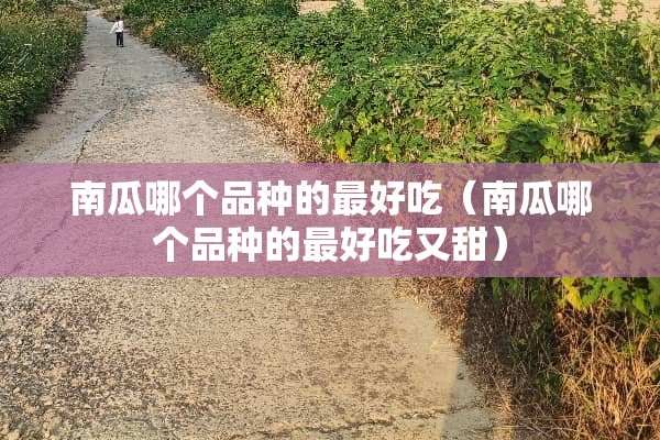南瓜哪个品种的最好吃（南瓜哪个品种的最好吃又甜）