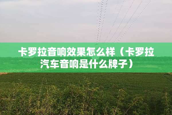 卡罗拉音响效果怎么样（卡罗拉汽车音响是什么牌子）