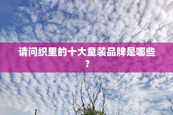 请问织里的十大童装品牌是哪些？