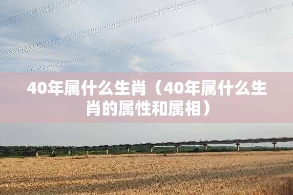 40年属什么生肖（40年属什么生肖的属性和属相）