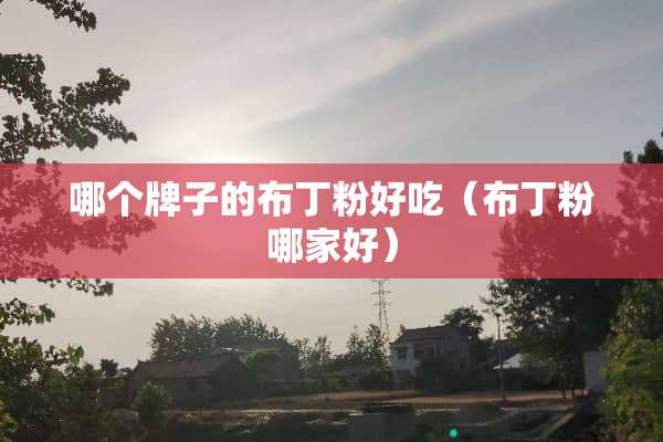 哪个牌子的布丁粉好吃（布丁粉哪家好）