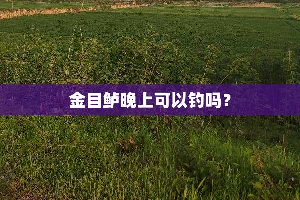 金目鲈晚上可以钓吗？