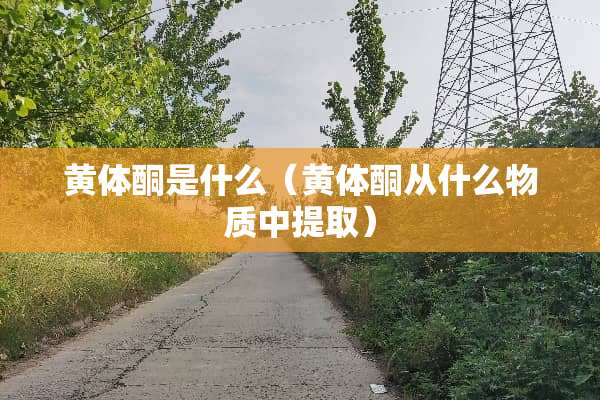 ***是什么（***从什么物质中提取）