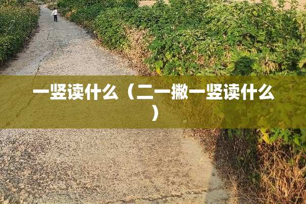 一竖读什么（二一撇一竖读什么）
