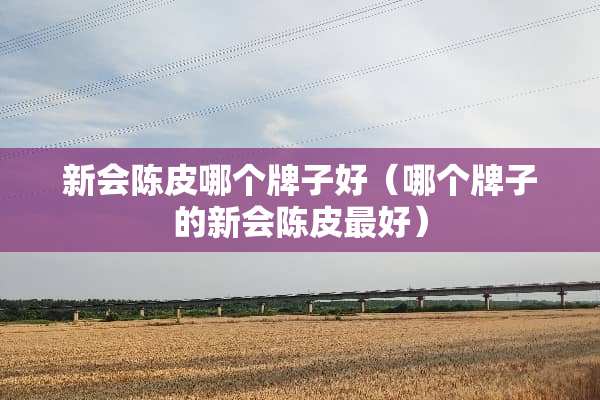 新会陈皮哪个牌子好（哪个牌子的新会陈皮最好）