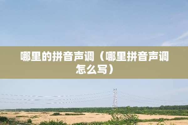 哪里的拼音声调（哪里拼音声调怎么写）