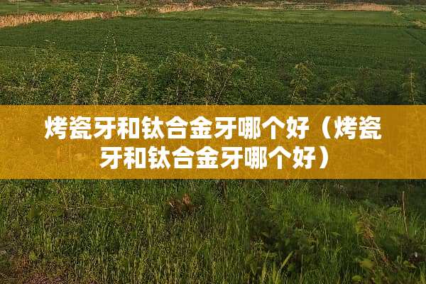 烤瓷牙和钛合金牙哪个好（烤瓷牙和钛合金牙哪个好）