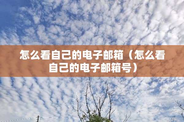 怎么看自己的电子邮箱（怎么看自己的电子邮箱号）