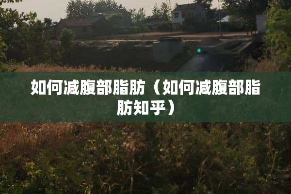 如何减腹部脂肪（如何减腹部脂肪知乎）