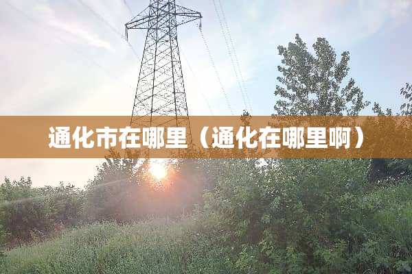 通化市在哪里（通化在哪里啊）