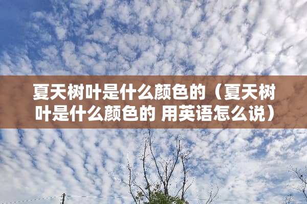 夏天树叶是什么颜色的（夏天树叶是什么颜色的 用英语怎么说）