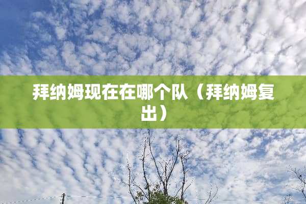 拜纳姆现在在哪个队（拜纳姆复出）