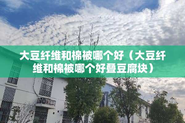 大豆纤维和棉被哪个好（大豆纤维和棉被哪个好叠豆腐块）