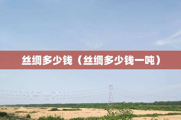 丝绸多少钱（丝绸多少钱一吨）