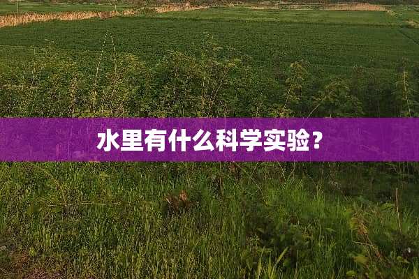 水里有什么科学实验？