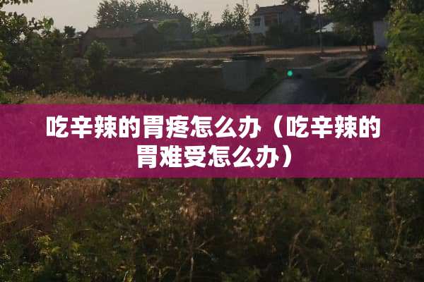 吃辛辣的胃疼怎么办（吃辛辣的胃难受怎么办）