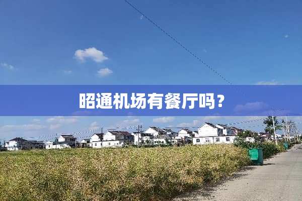 昭通机场有餐厅吗？