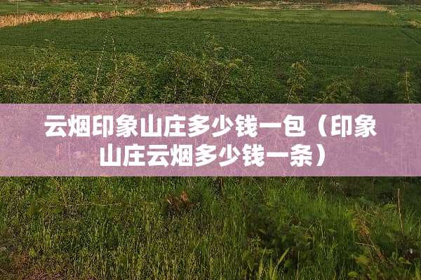 云烟印象山庄多少钱一包（印象山庄云烟多少钱一条）