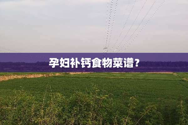 孕妇补钙食物菜谱？