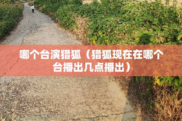 哪个台演猎狐（猎狐现在在哪个台播出几点播出）