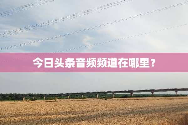 今日头条音频频道在哪里？
