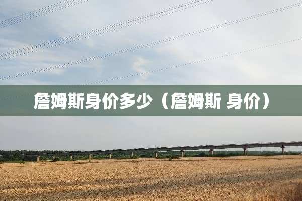 詹姆斯身价多少（詹姆斯 身价）
