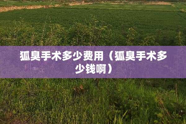狐臭手术多少费用（狐臭手术多少钱啊）