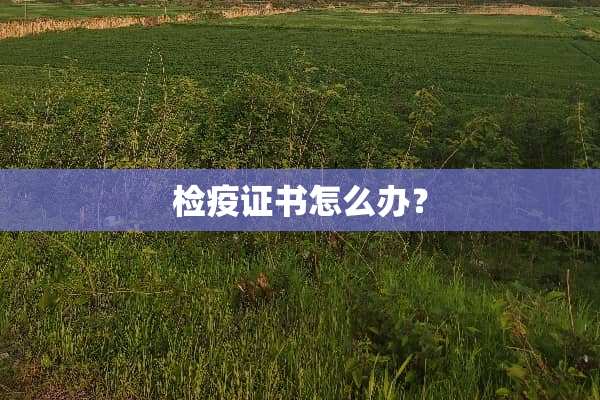 检疫证书怎么办？