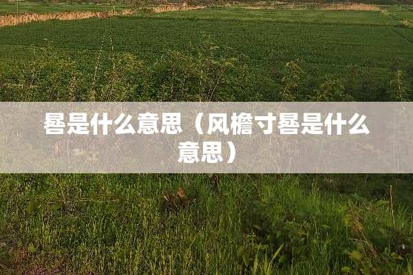 晷是什么意思（风檐寸晷是什么意思）