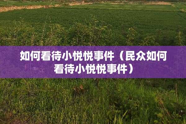 如何看待小悦悦事件（民众如何看待小悦悦事件）