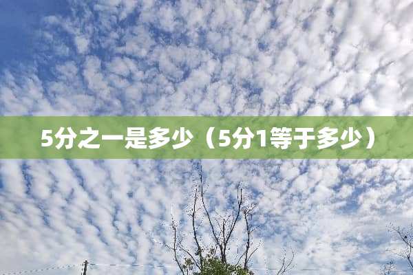 5分之一是多少（5分1等于多少）