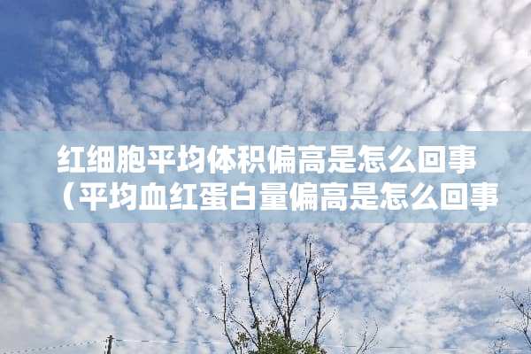 红细胞平均体积偏高是怎么回事（平均血红蛋白量偏高是怎么回事）