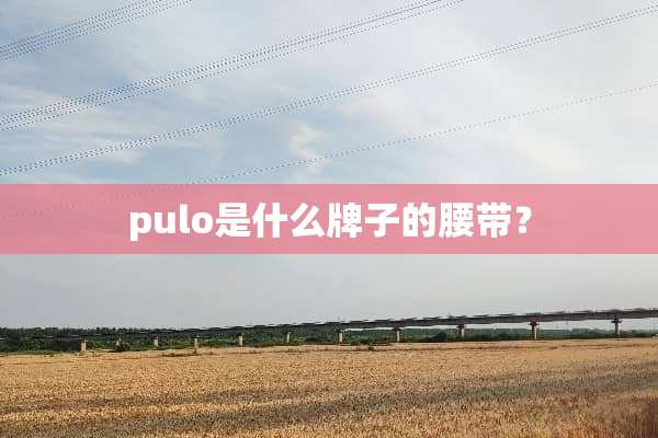 pulo是什么牌子的腰带？