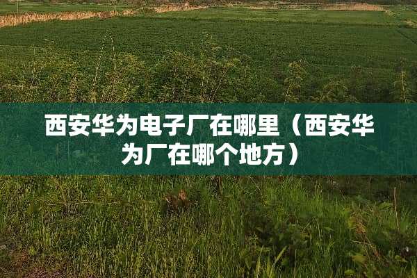 西安华为电子厂在哪里（西安华为厂在哪个地方）
