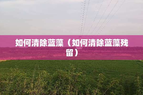 如何清除蓝藻（如何清除蓝藻残留）