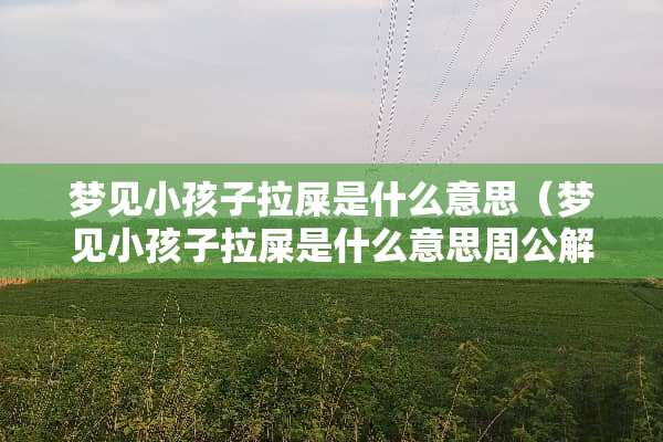 梦见小孩子拉屎是什么意思（梦见小孩子拉屎是什么意思周公解梦）