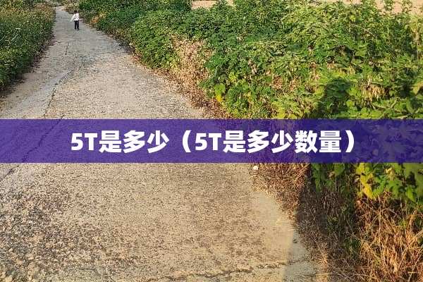 5T是多少（5T是多少数量）