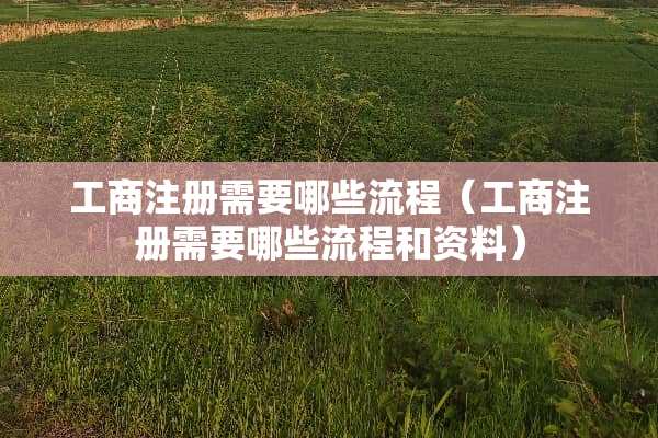 工商注册需要哪些流程（工商注册需要哪些流程和资料）